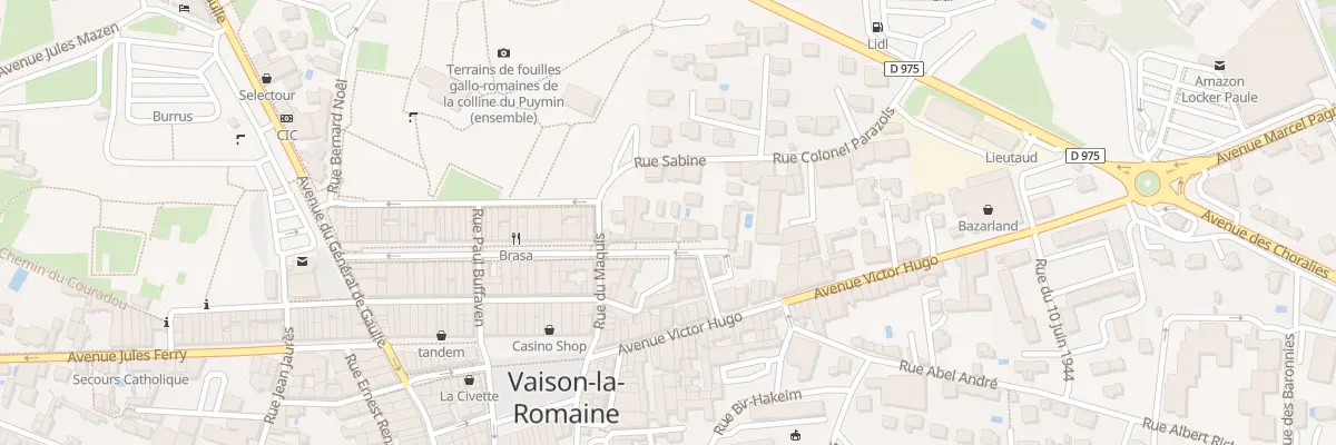 Plan du 63 Crs Taulignan à Vaison-la-Romaine