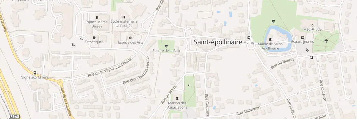 Plan du 243 Rue au Maire à Saint-Apollinaire