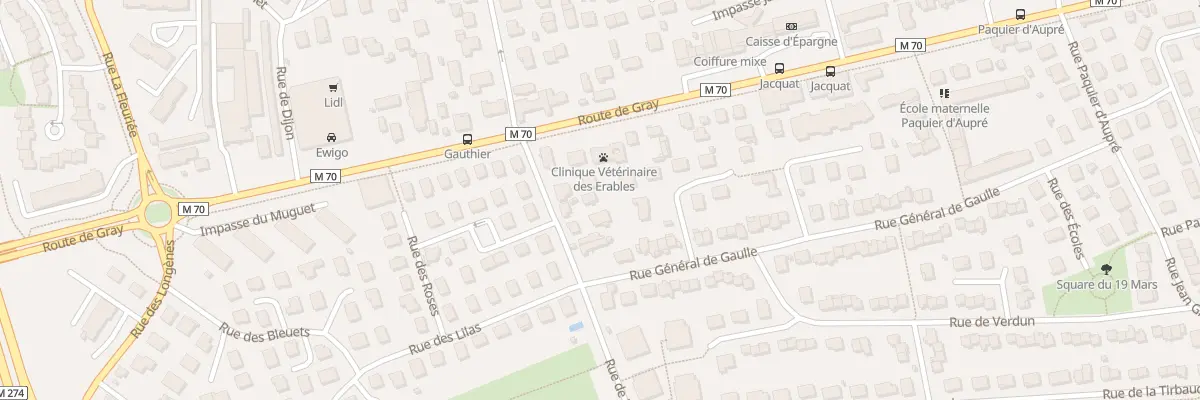 Plan du 75 Rue de Mirande à Saint-Apollinaire