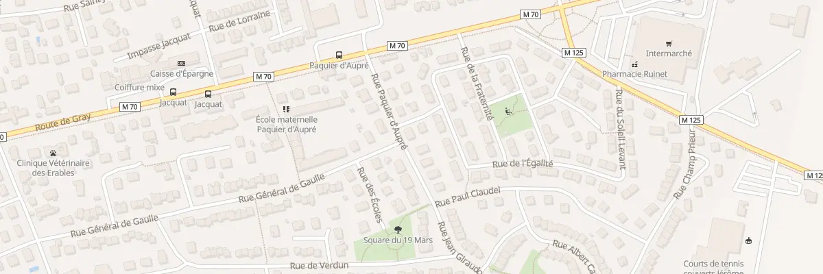 Plan du 97 Rue du Paquier d’Aupré à Saint-Apollinaire