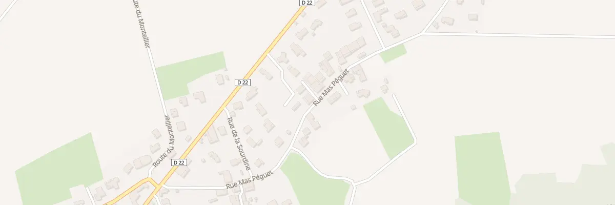 Plan du 307 Rue Mas Peguet à Pizay
