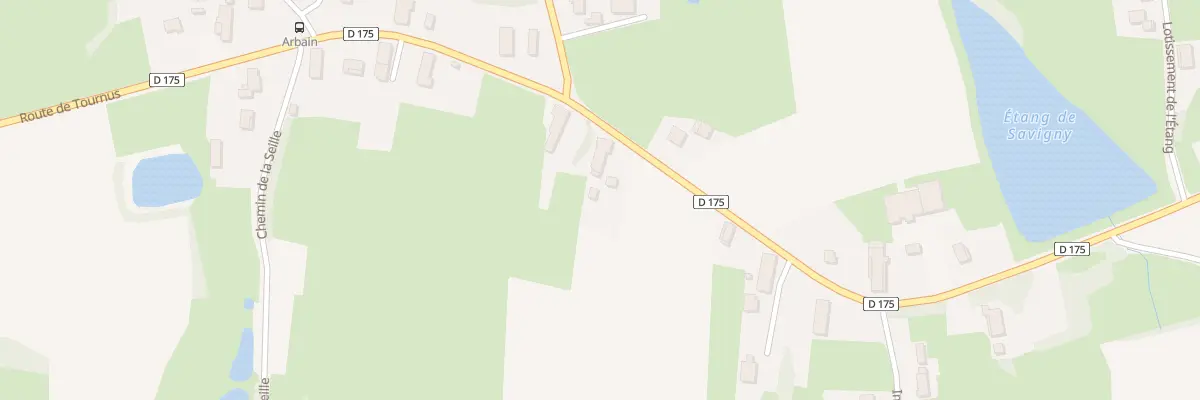 Plan du 11 Rte de Tournus à Savigny-sur-Seille