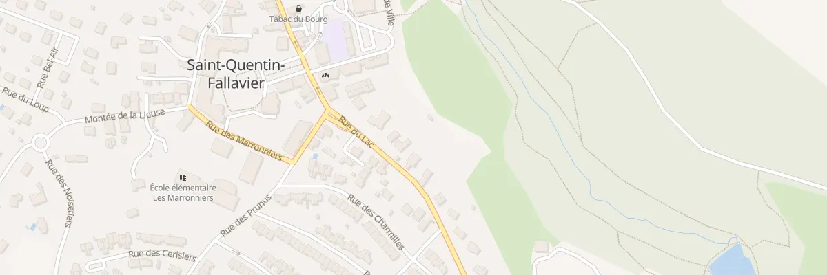 Plan du 37 Rue du Lac à Saint-Quentin-Fallavier