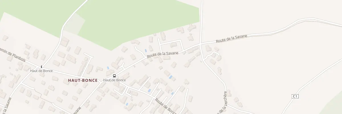 Plan du 639 Rte de la Savane à Satolas-et-Bonce