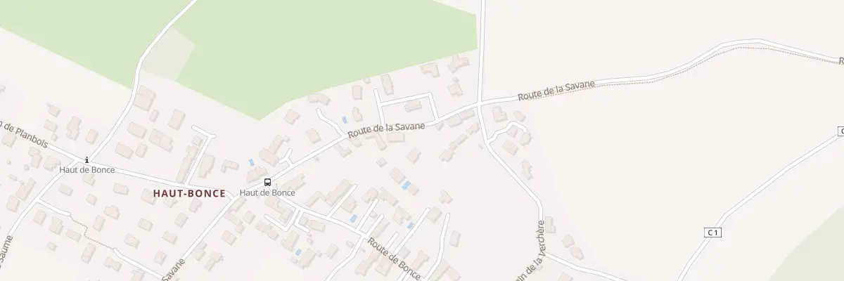 Plan du 613 Rte de la Savane à Satolas-et-Bonce