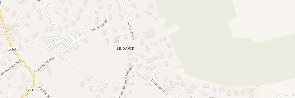 Plan du 341 Rue du David à Satolas-et-Bonce