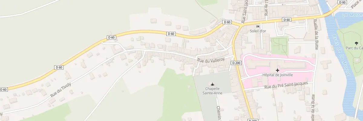 Plan du 53 Rue du Valleroy à Joinville