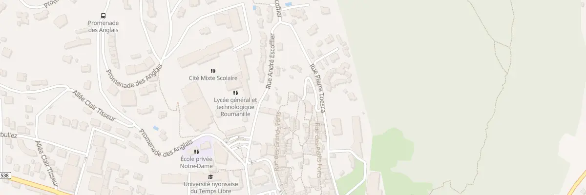 Plan du 74 Rue des Grands Forts à Nyons