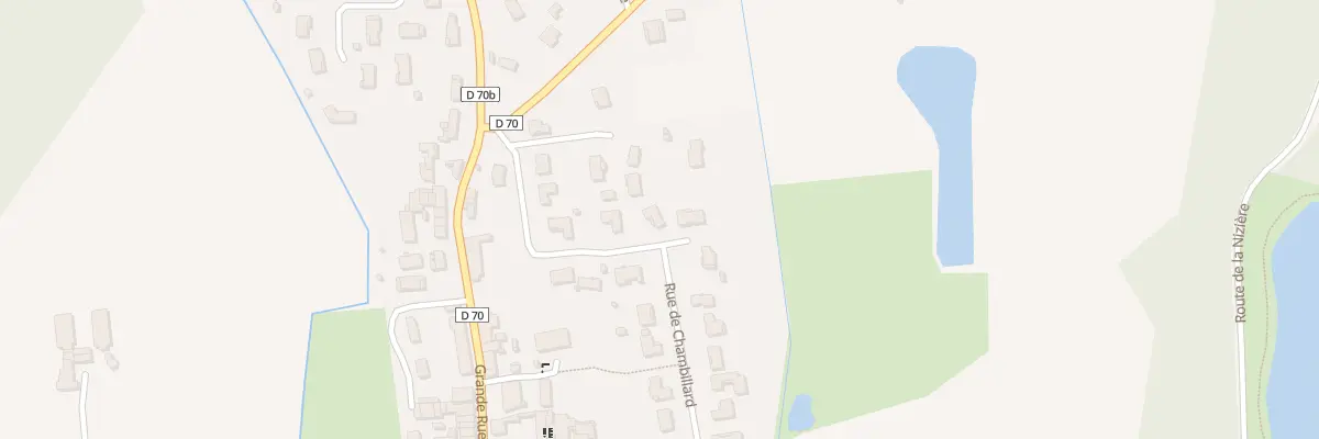 Plan du 171 Rue de Chambillard à Saint-Nizier-le-Désert