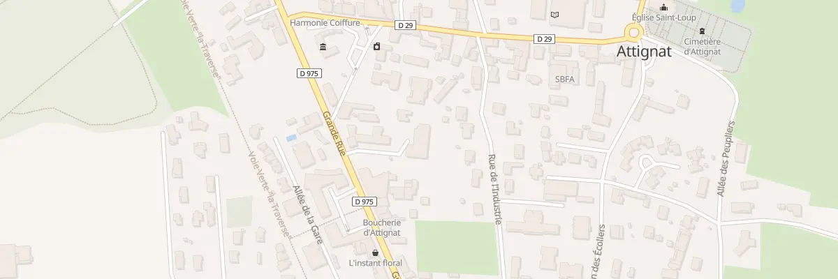 Plan du 433 Gr Grande Rue à Attignat