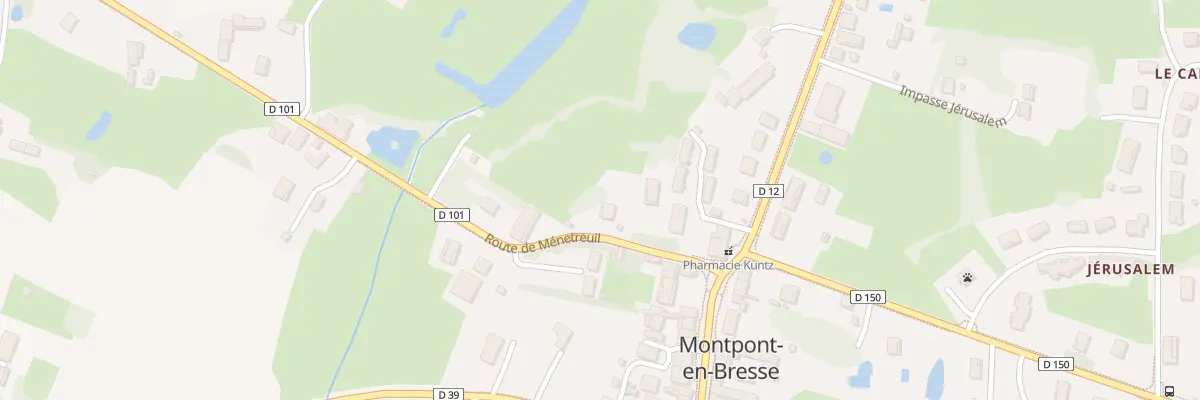 Plan du 90 Rte de Ménetreuil à Montpont-en-Bresse