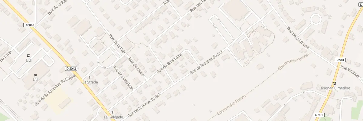 Plan du 20 Rue du Bois Laire à Carignan