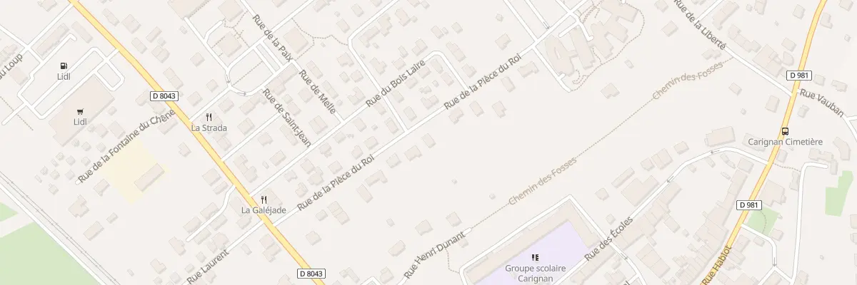 Plan du 12 Rue de la Piece du Roi à Carignan