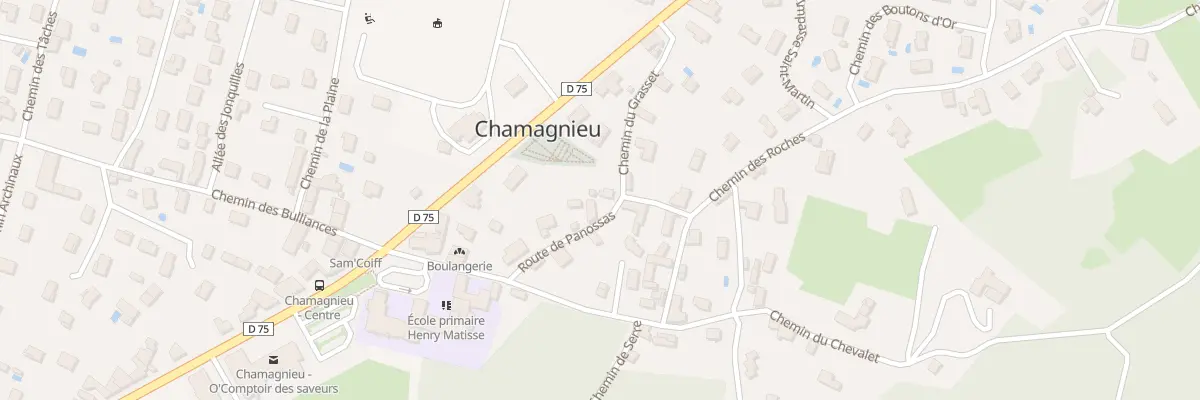 Plan du 101 Rte de Panossas à Chamagnieu