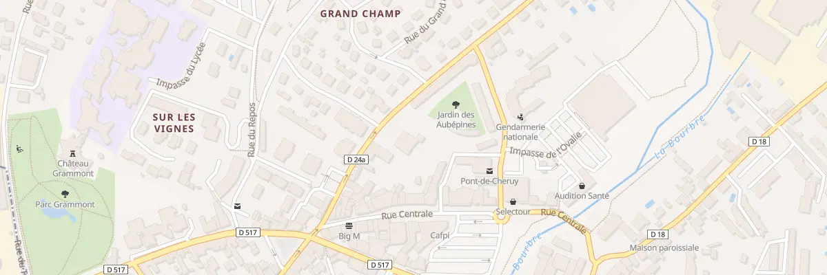 Plan du 12 Rue Aimé Pinel à Pont-de-Chéruy