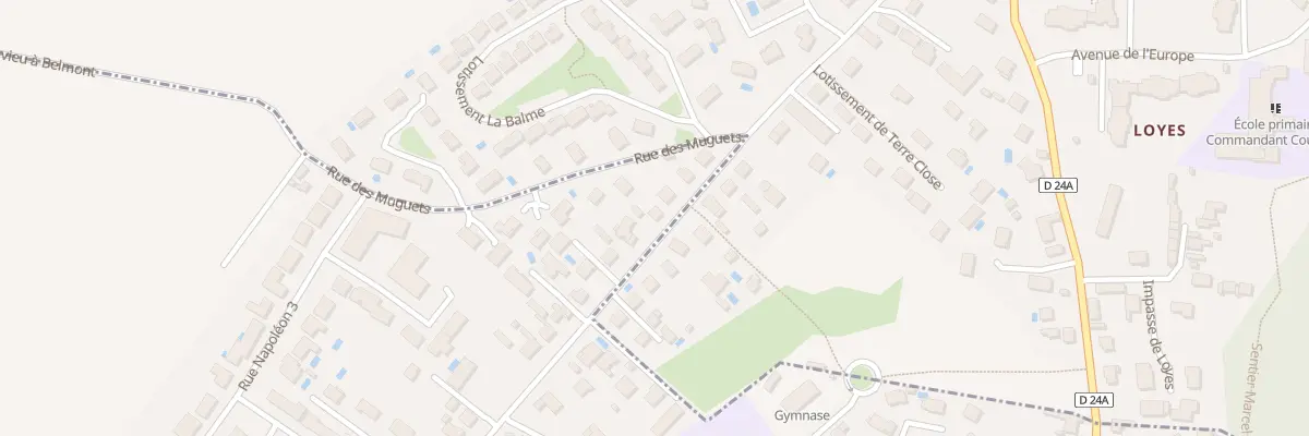 Plan du 113 Rue du Travail à Pont-de-Chéruy
