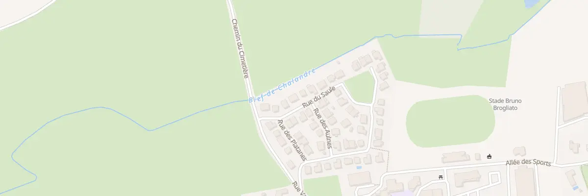 Plan du 67 Rue du Saule à Saint-Denis-lès-Bourg