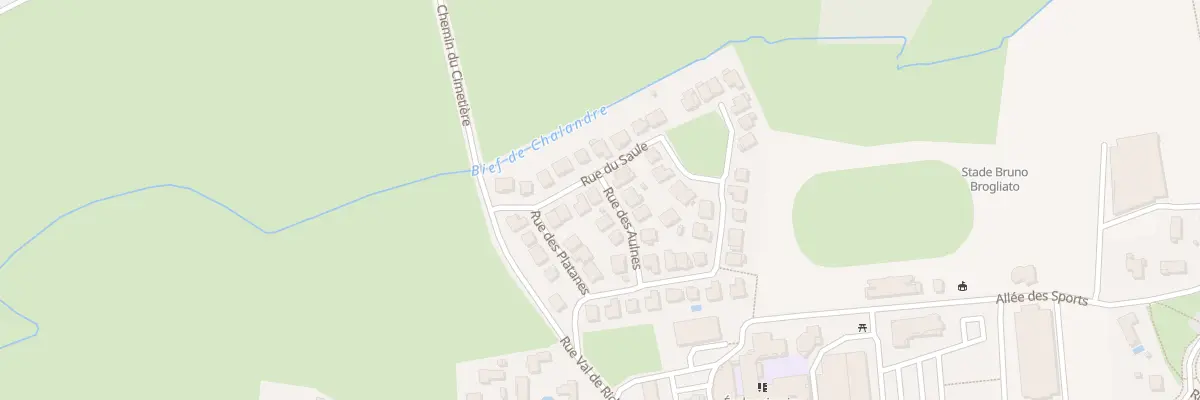 Plan du 78 Rue du Saule à Saint-Denis-lès-Bourg