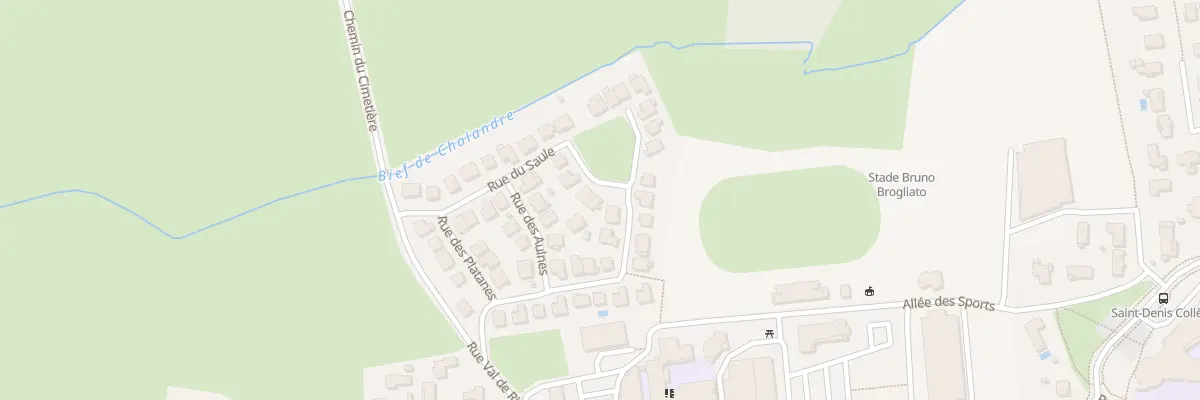 Plan du 206 Rue du Saule à Saint-Denis-lès-Bourg