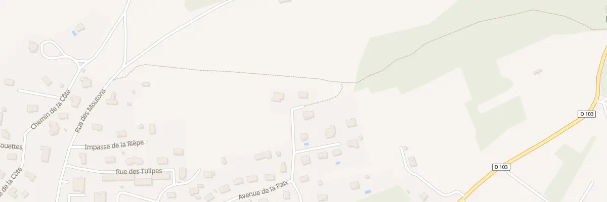 Plan du 21 Rue du Petit Cerf à Selongey