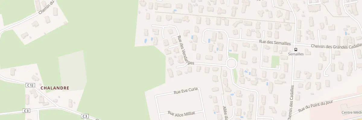Plan du 121 Rue des Vendanges à Saint-Denis-lès-Bourg