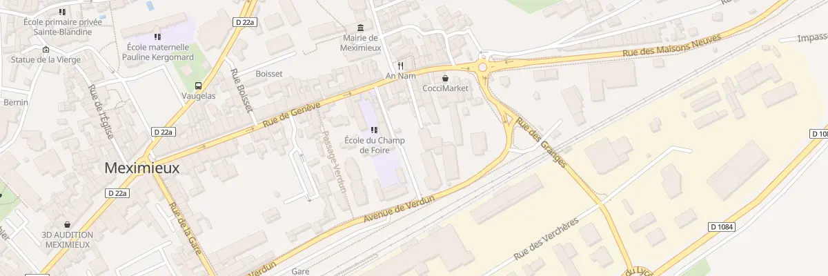 Plan du 101 Rue du Champ de Foire à Meximieux