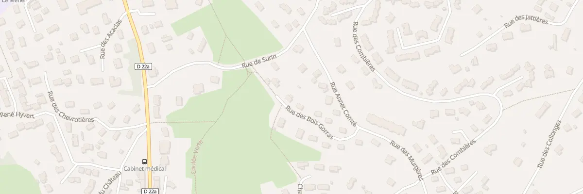 Plan du 10 Rue Bois Gorras à Meximieux