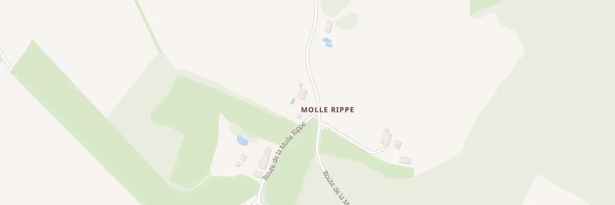 Plan du 1285 Rte de la Molle Rippe à La Chapelle-Naude
