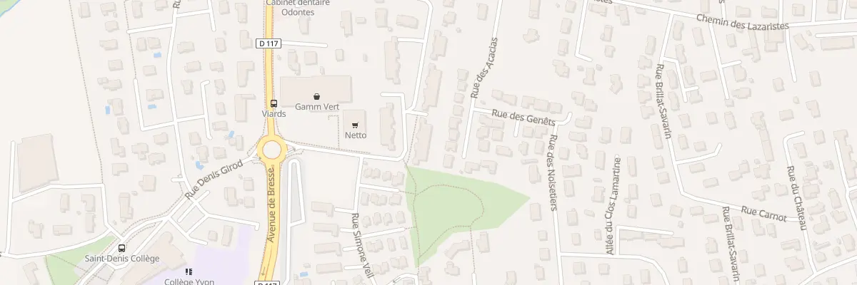 Plan du 100 Rue des Viards à Saint-Denis-lès-Bourg