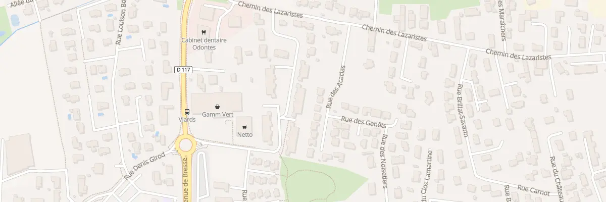 Plan du 170 Rue des Viards à Saint-Denis-lès-Bourg