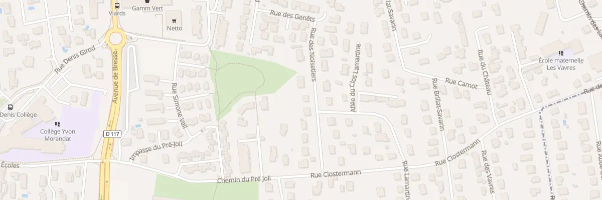 Plan du 117 Rue des Noisetiers à Saint-Denis-lès-Bourg