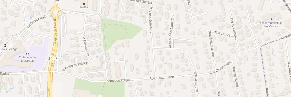Plan du 99 Rue des Noisetiers à Saint-Denis-lès-Bourg