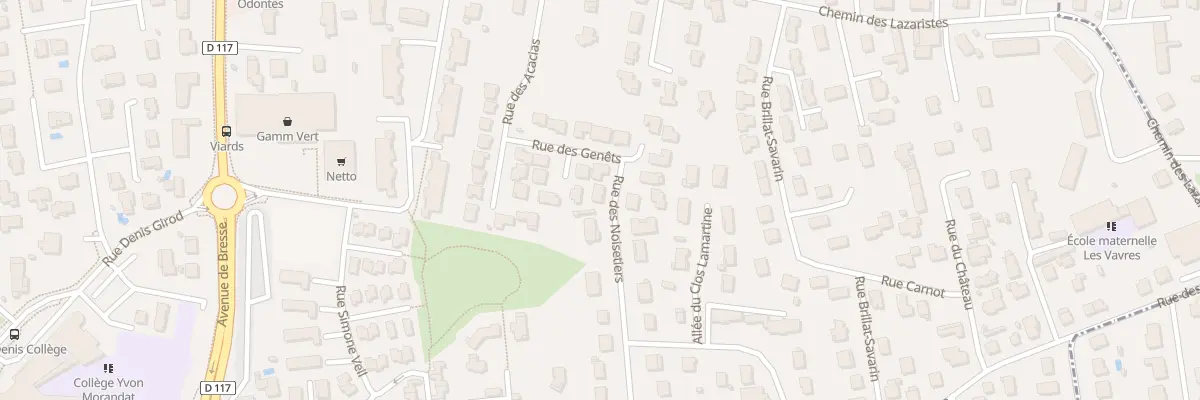 Plan du 213 Rue des Noisetiers à Saint-Denis-lès-Bourg
