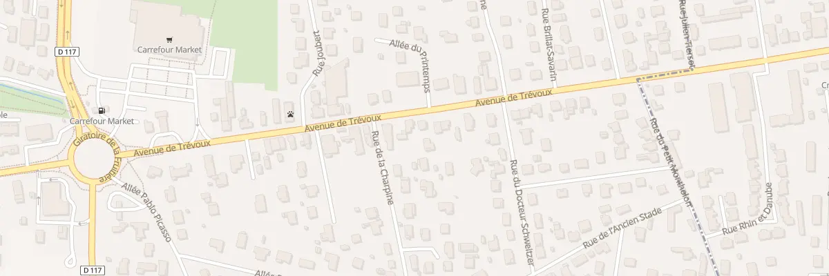 Plan du 333 Av de Trévoux à Saint-Denis-lès-Bourg