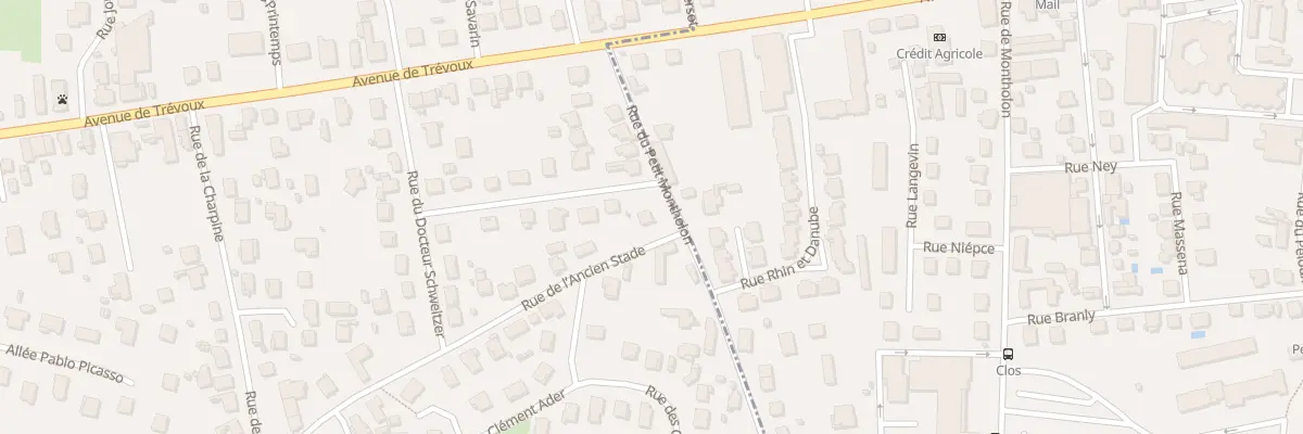 Plan du 132 Rue du Petit Montholon à Saint-Denis-lès-Bourg