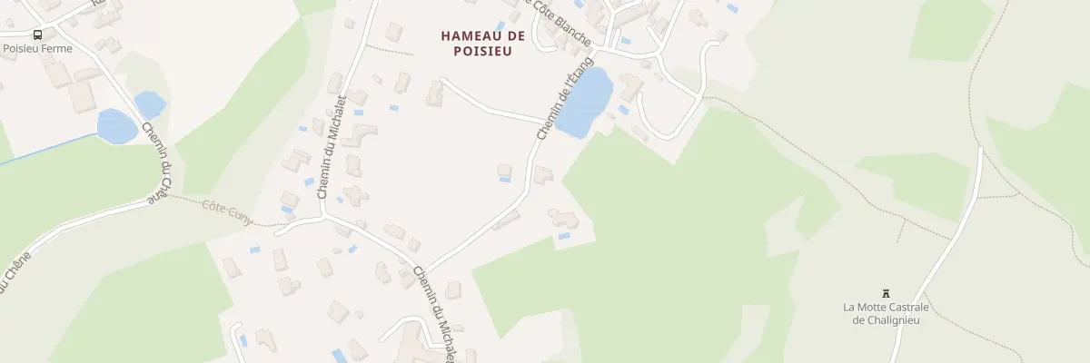 Plan du 149 Che de l’Etang à Chozeau