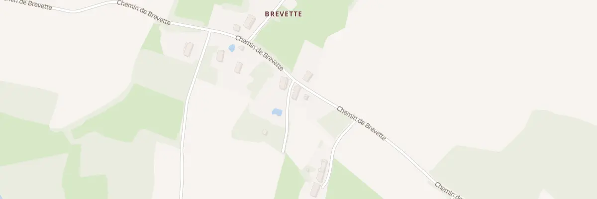 Plan du 1573 Chem de Brevette à Vincelles