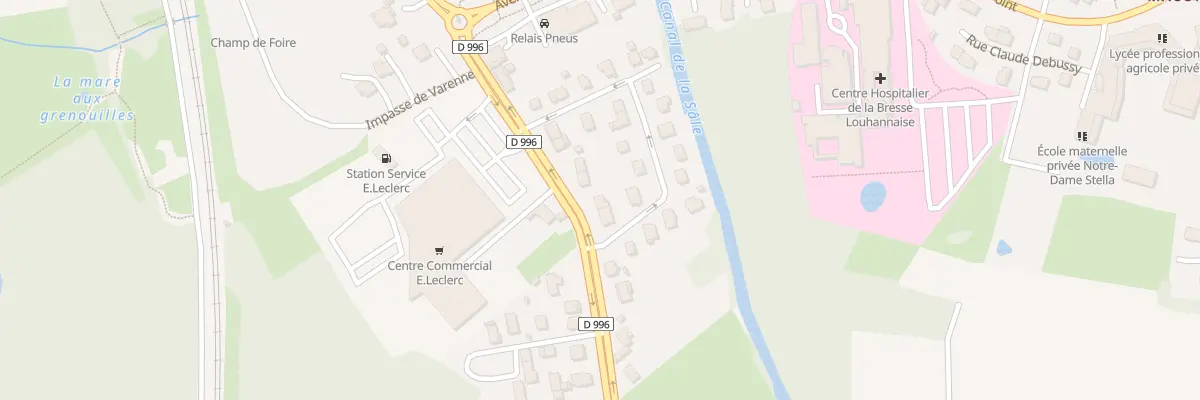 Plan du 91 Rue des Bordes à Louhans-Châteaurenaud