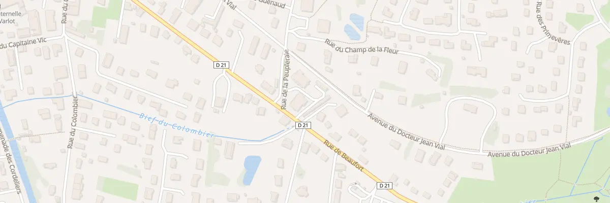 Plan du 19 Rue de la Peupleraie à Louhans-Châteaurenaud