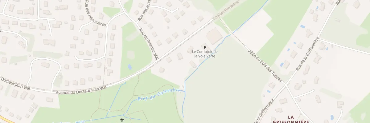 Plan du 38 Av du Docteur Jean Vial à Louhans-Châteaurenaud