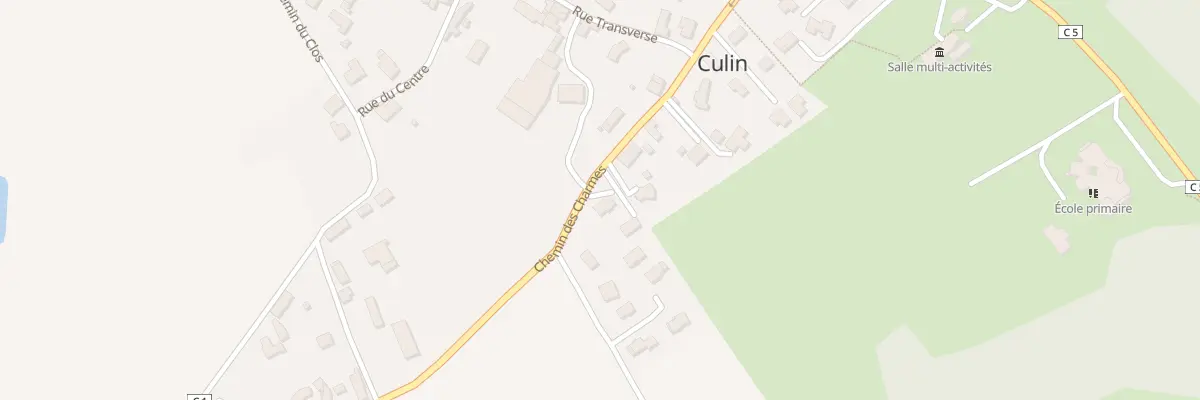 Plan du 273 Chem des Charmes à Culin