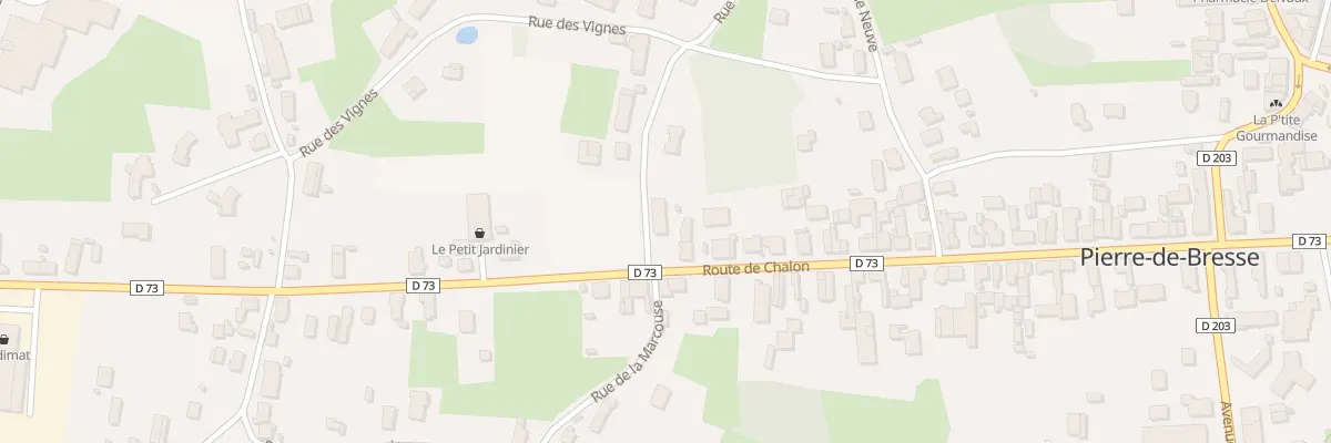 Plan du 64 Rte de Chalon à Pierre-de-Bresse