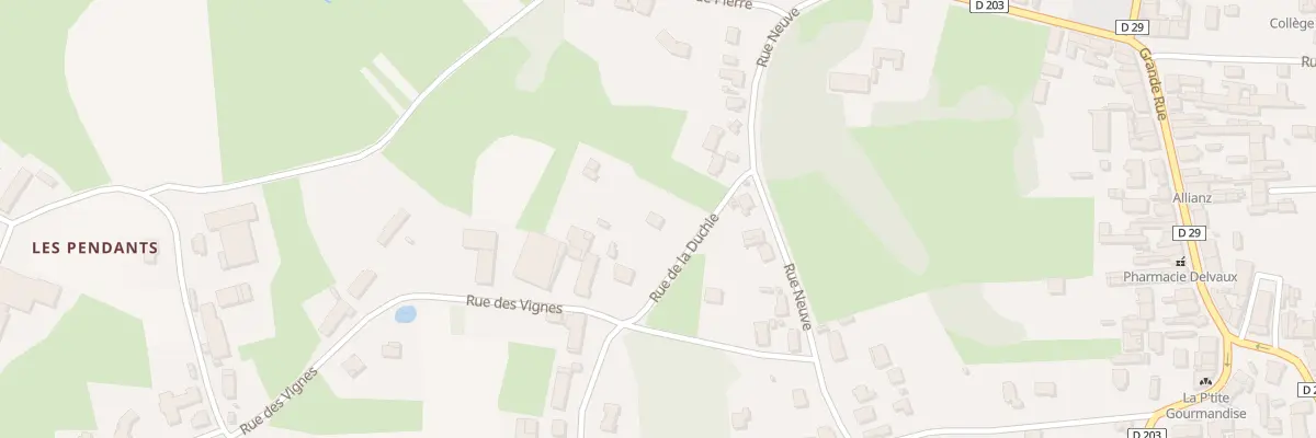 Plan du 9 Rue de la Duchie à Pierre-de-Bresse