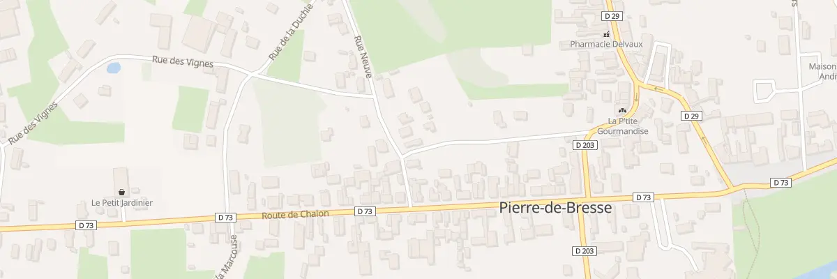 Plan du 12 Rue Basse à Pierre-de-Bresse