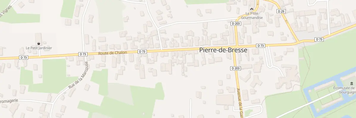 Plan du 19 Rte de Chalon à Pierre-de-Bresse