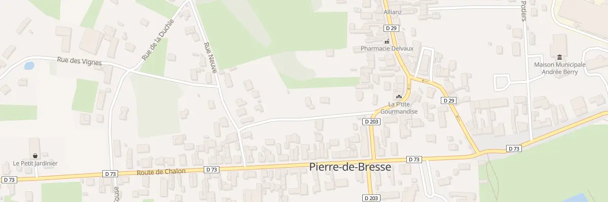 Plan du 6 Rue Basse à Pierre-de-Bresse