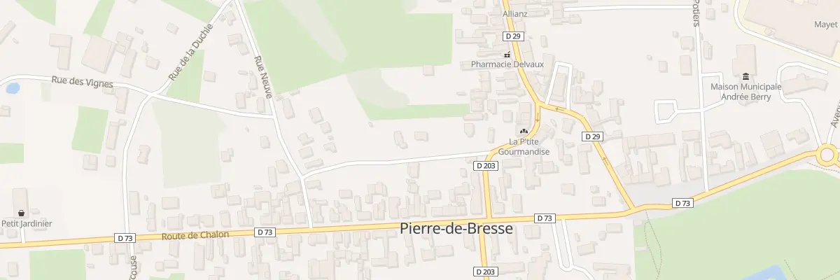 Plan du 4 Rue Basse à Pierre-de-Bresse