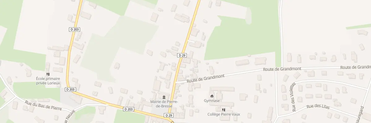 Plan du 20 Rte de Fretterans à Pierre-de-Bresse