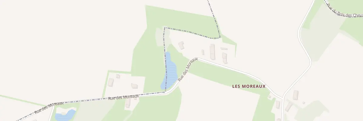 Plan du 889 Rue des Moreaux à La Chapelle-Saint-Sauveur