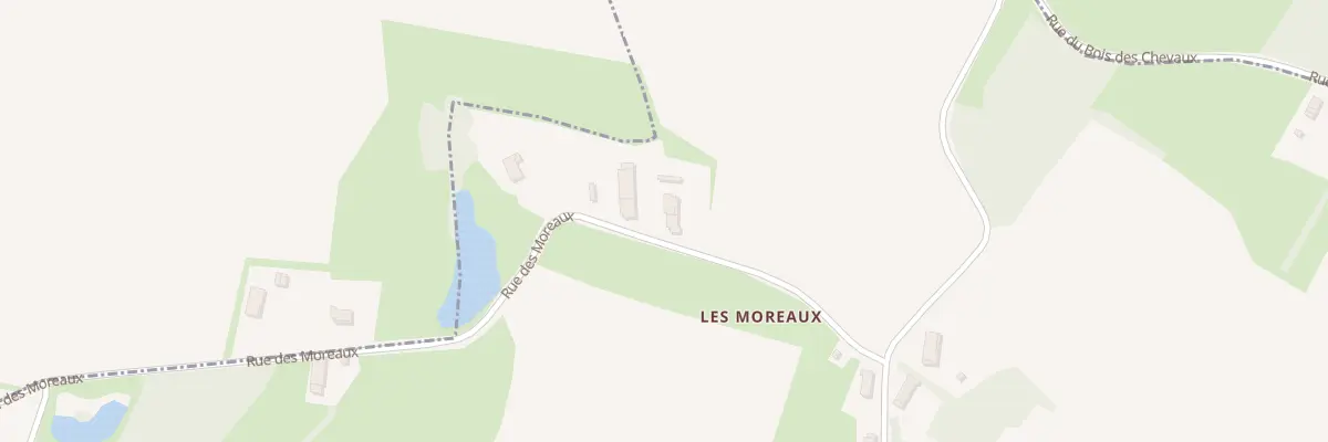 Plan du 969 Rue des Moreaux à La Chaux